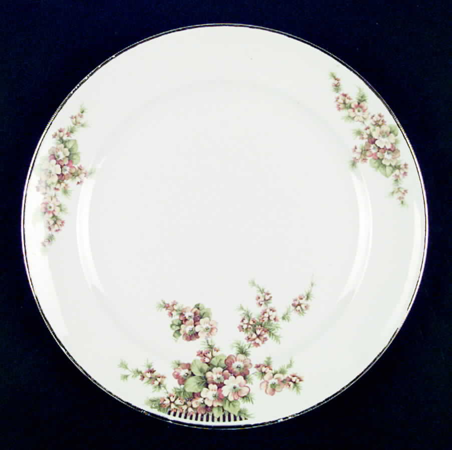 CRO158 Dinner Plate by Crooksville-1