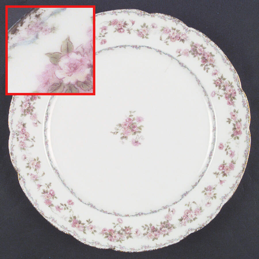 Head 115-1 Dinner Plate by Charles Field Haviland-1