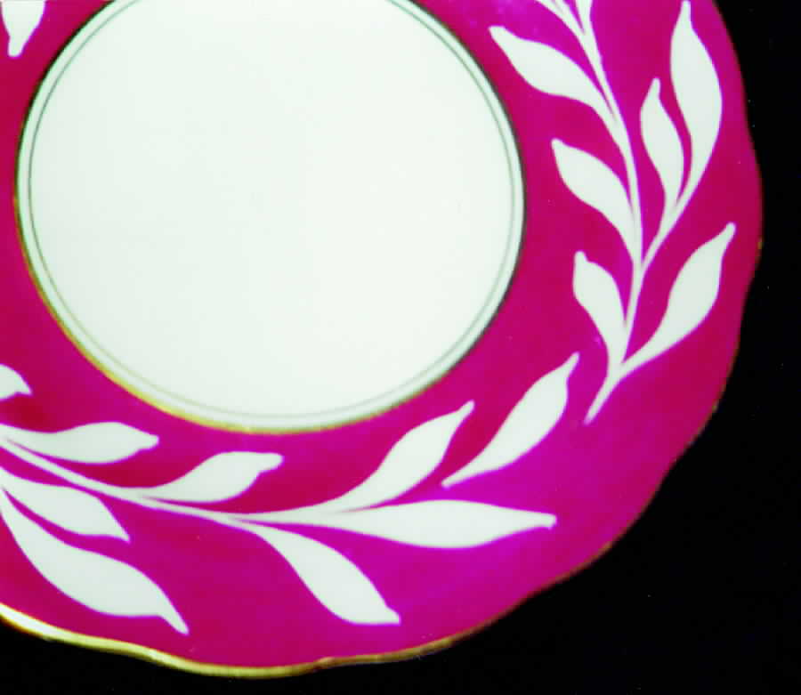 Phantom Red Dinner Plate by Coalport-1