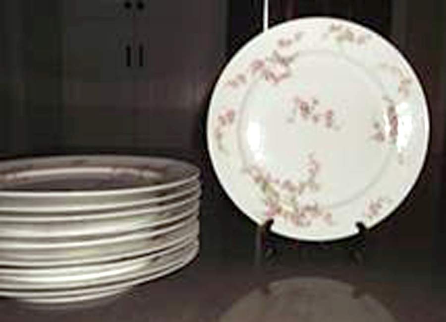 CHF536 Dinner Plate by Charles Field Haviland-1