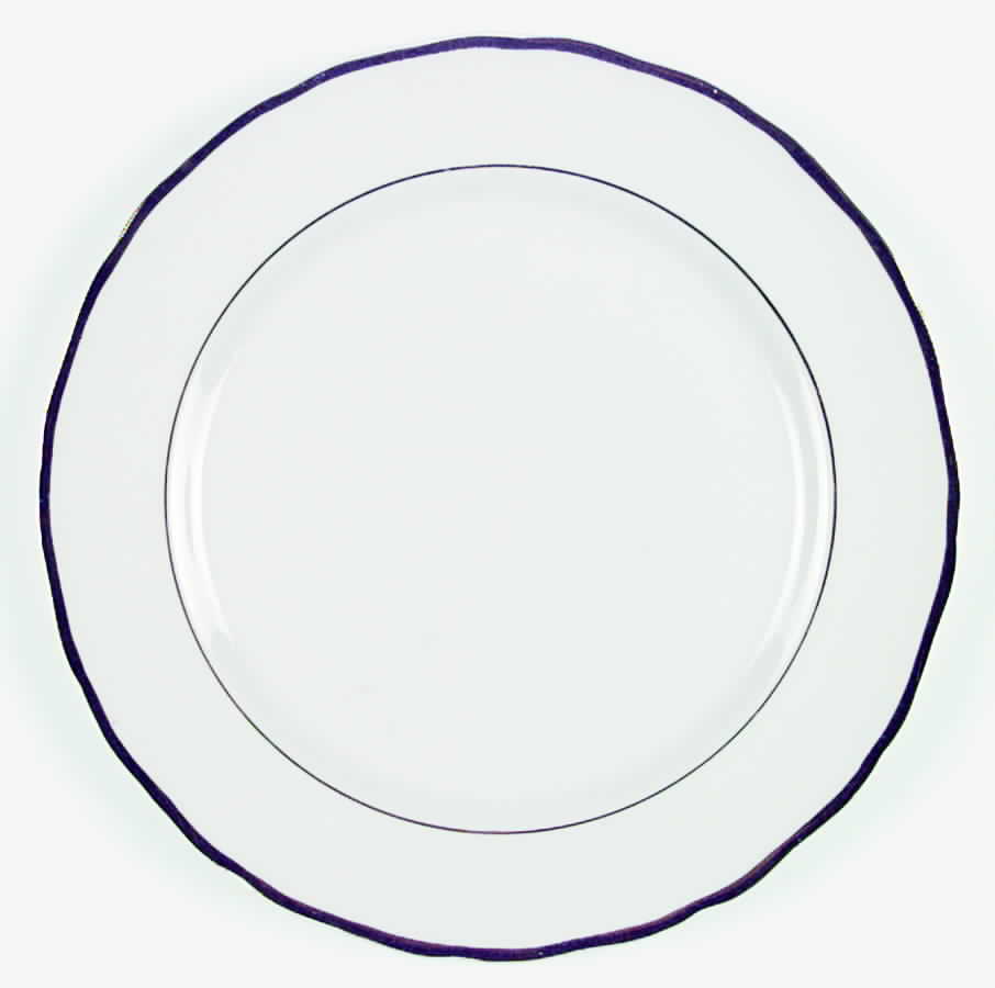 CAN111 Dinner Plate by Canonsburg-1