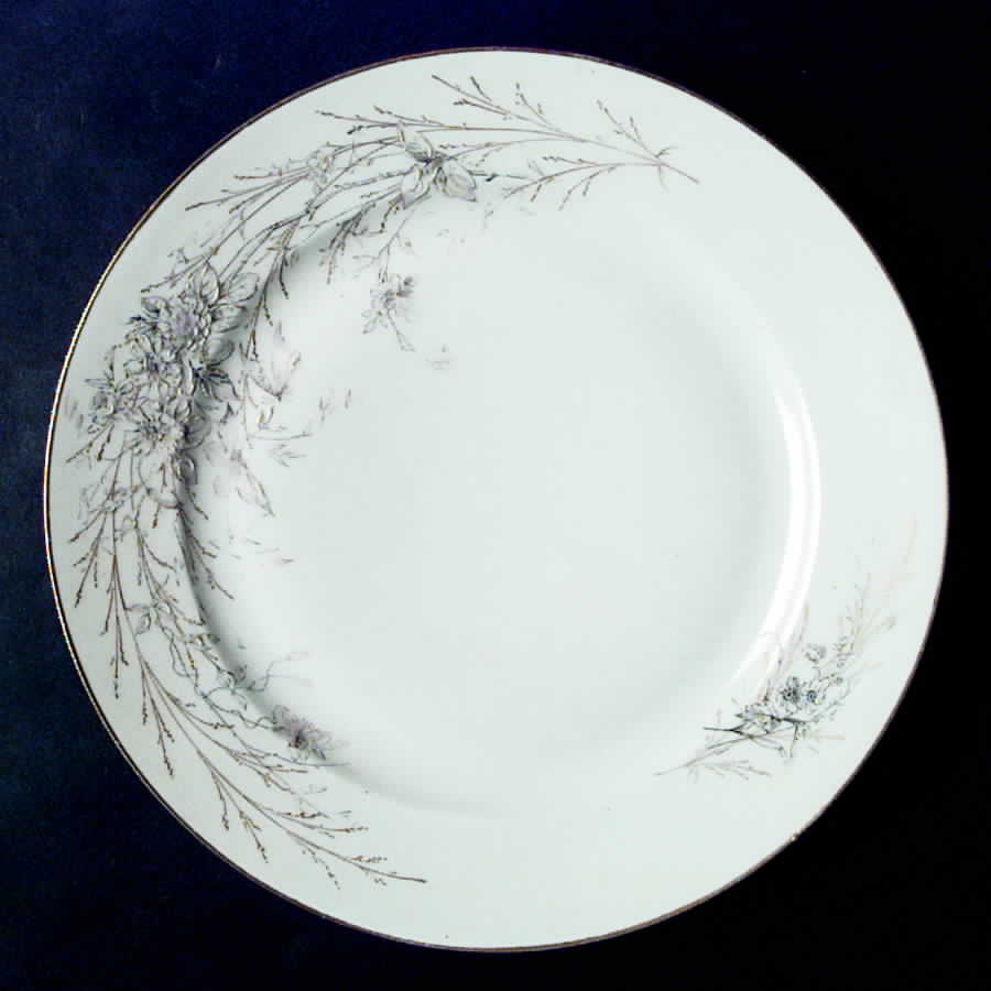 CHF542 Dinner Plate by Charles Field Haviland-1
