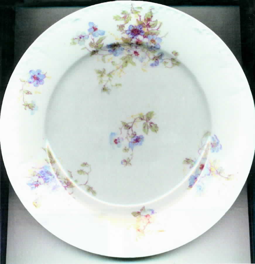 CHF552 Salad Plate by Charles Field Haviland-1