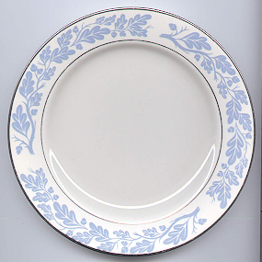 Starlite Blue Dinner Plate by Century Service-1