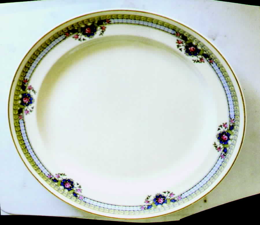 COI47 Dinner Plate by Cronin-1