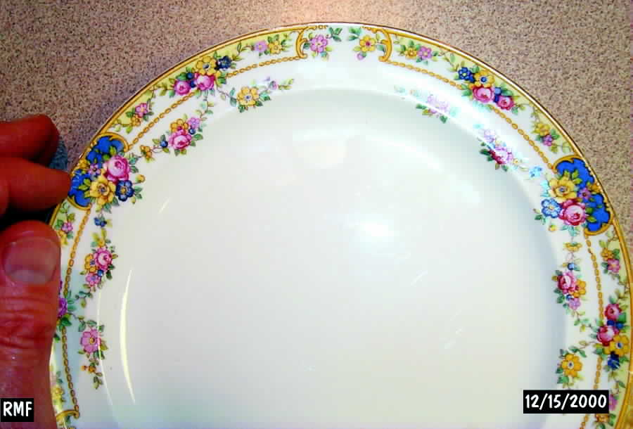 CAN113 Dessert/Pie Plate by Canonsburg-1