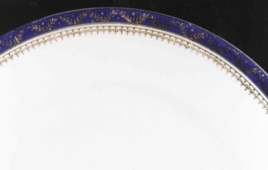 CZE76 Dinner Plate by Czechia-Czechoslovakia-1