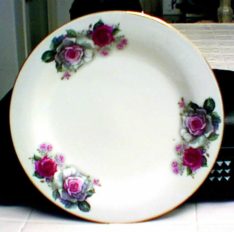 CX50 Dinner Plate by China (Made in China)-1