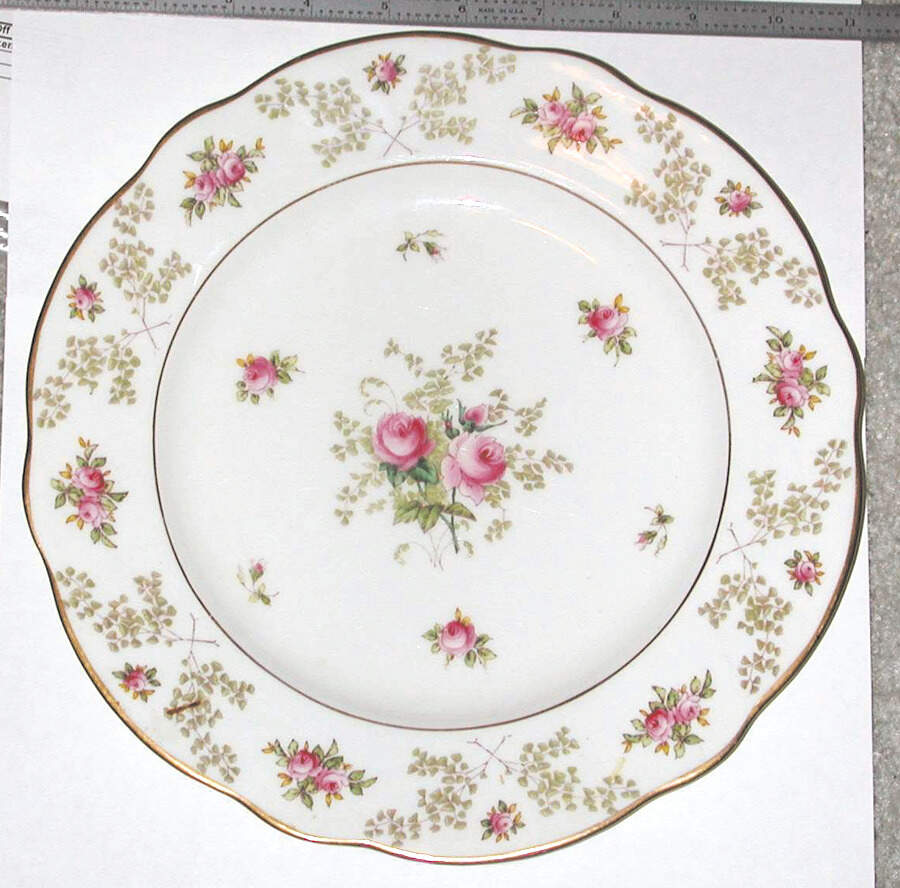 5959 Dinner Plate by Coalport-1