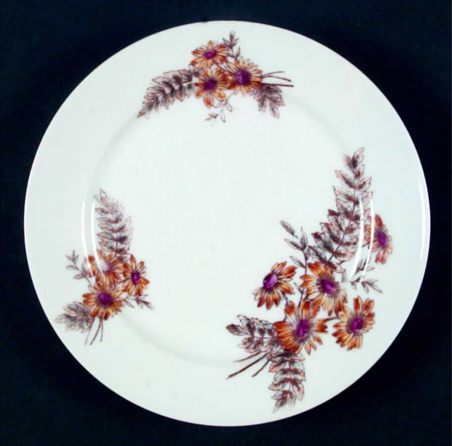 CHF559 Dessert/Pie Plate by Charles Field Haviland-1