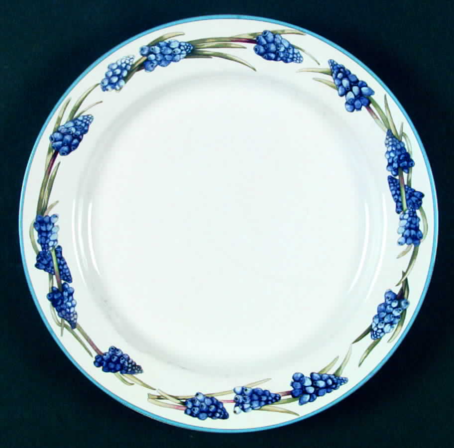 CIC4 Dinner Plate by Certified International-1