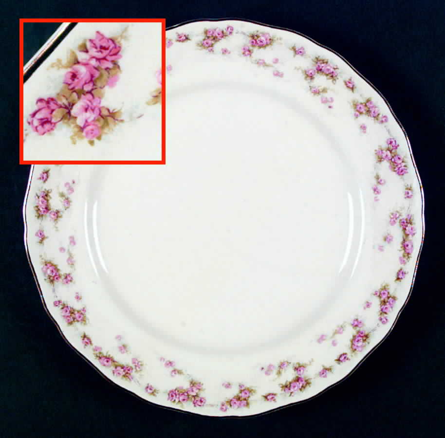 French Rambler Dinner Plate by Canonsburg-1