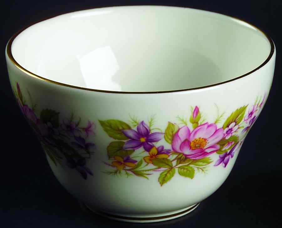 Wayside Mini Open Sugar Bowl by Colclough-1