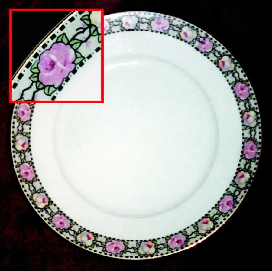 CTI49 Salad Plate by Carl Tielsch-1