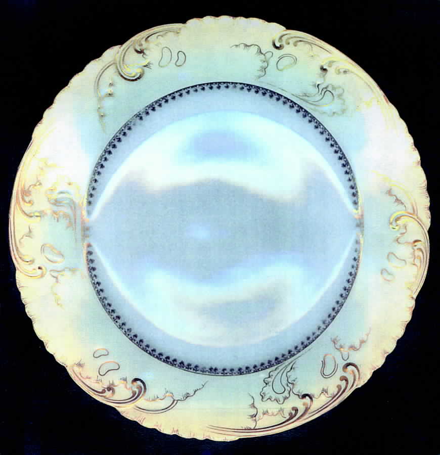 CHF567 Luncheon Plate by Charles Field Haviland-1