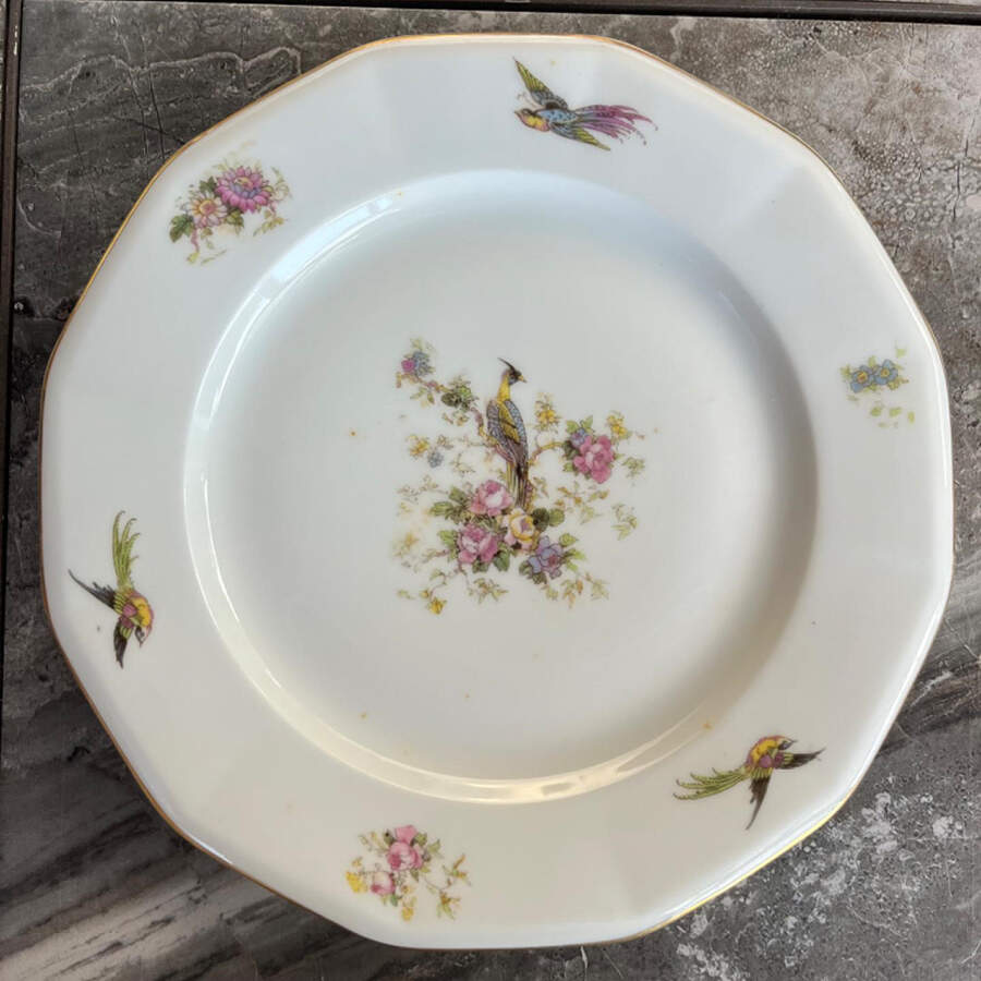CIM38 Dinner Plate by Crown Imperial-1