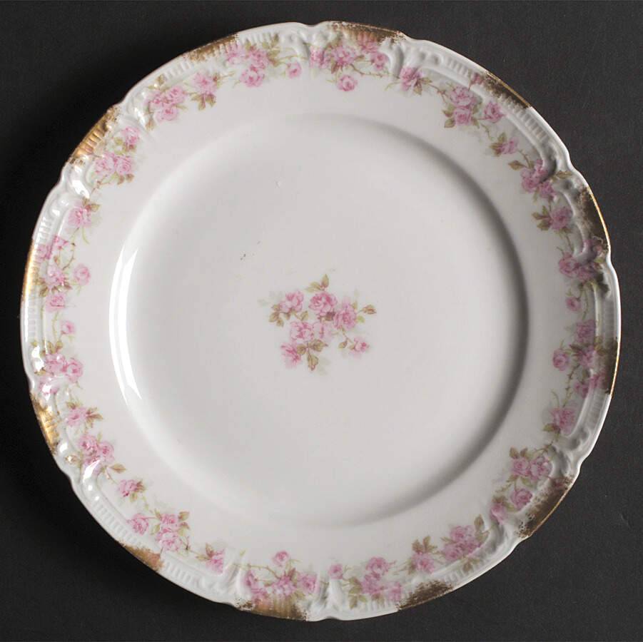 CHF569 Salad Plate by Charles Field Haviland-1