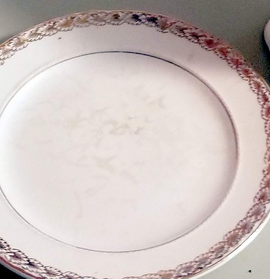 CRO168 Dinner Plate by Crooksville-1