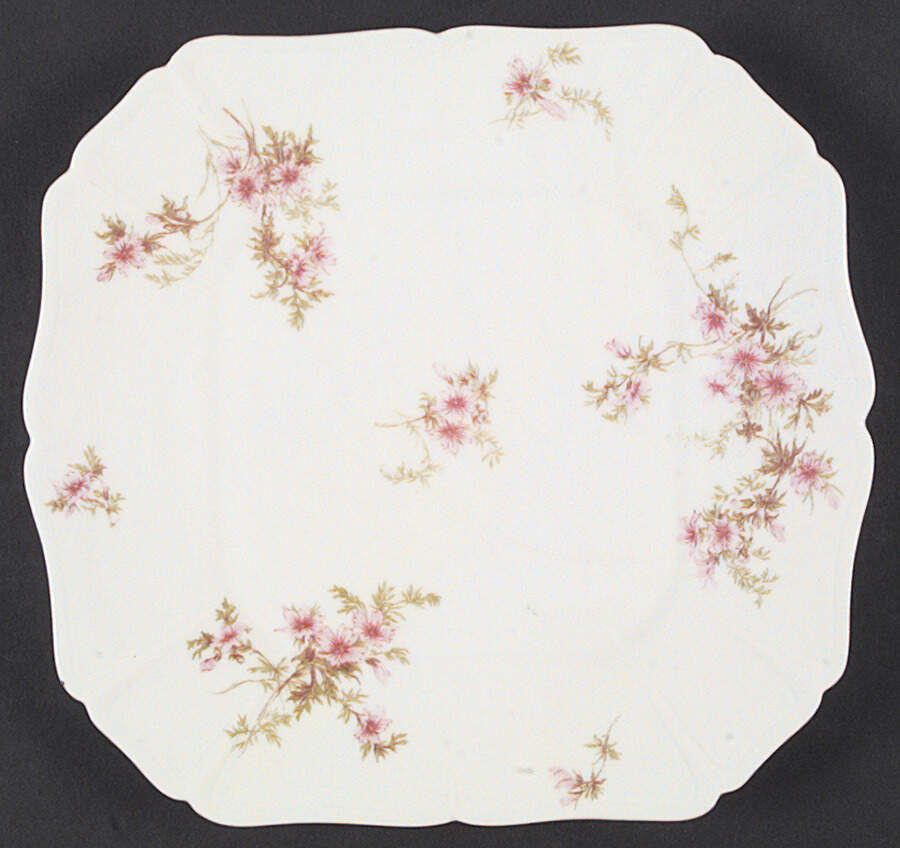 Schleiger 1293-2 Cake Plate by Charles Field Haviland-1