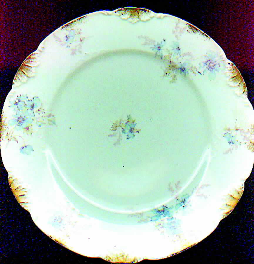 CHF584 Salad Plate by Charles Field Haviland-1