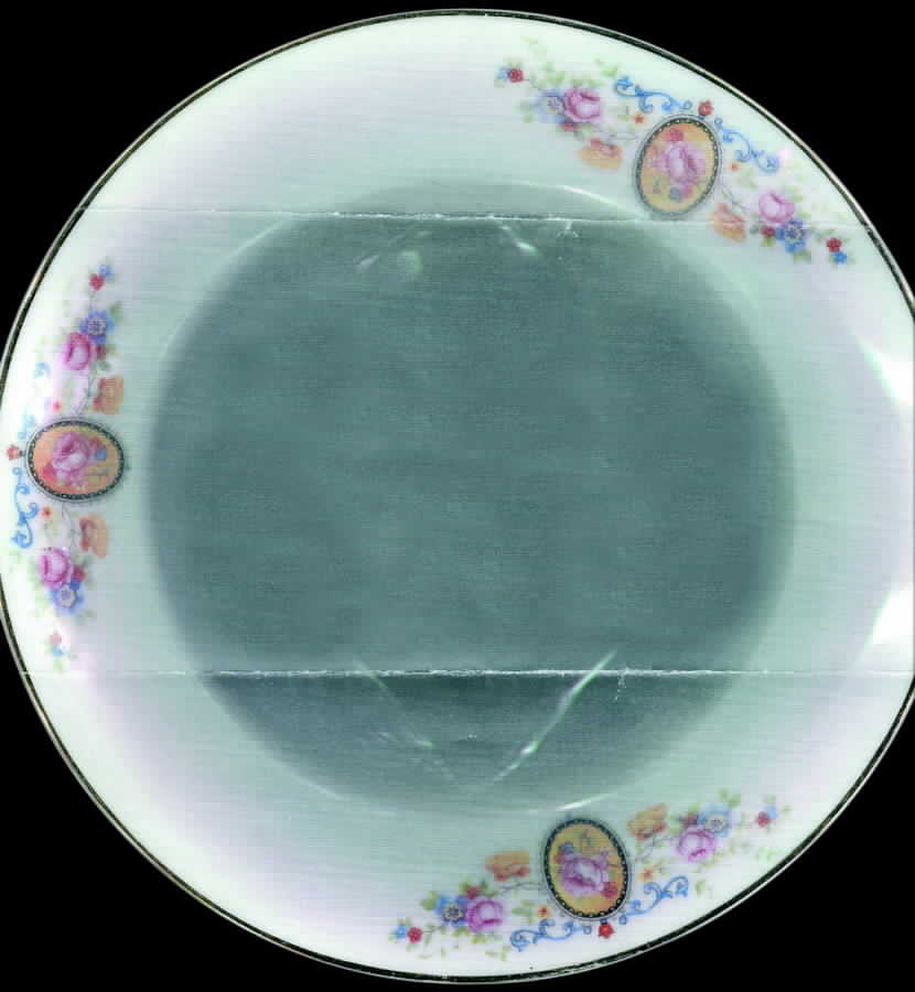 CZE81 Dinner Plate by Czechia-Czechoslovakia-1