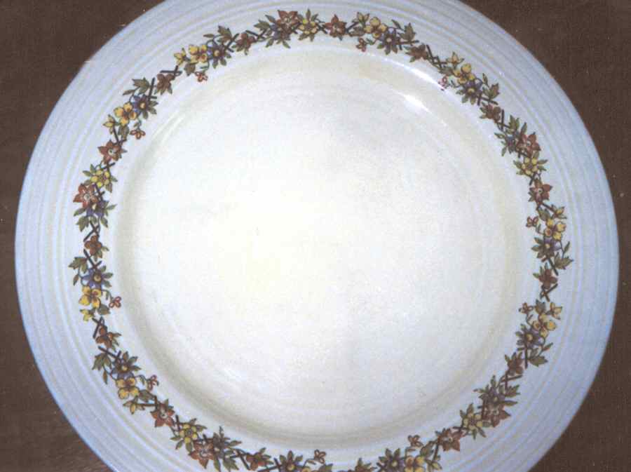CRD120 Dinner Plate by Crown Ducal-1