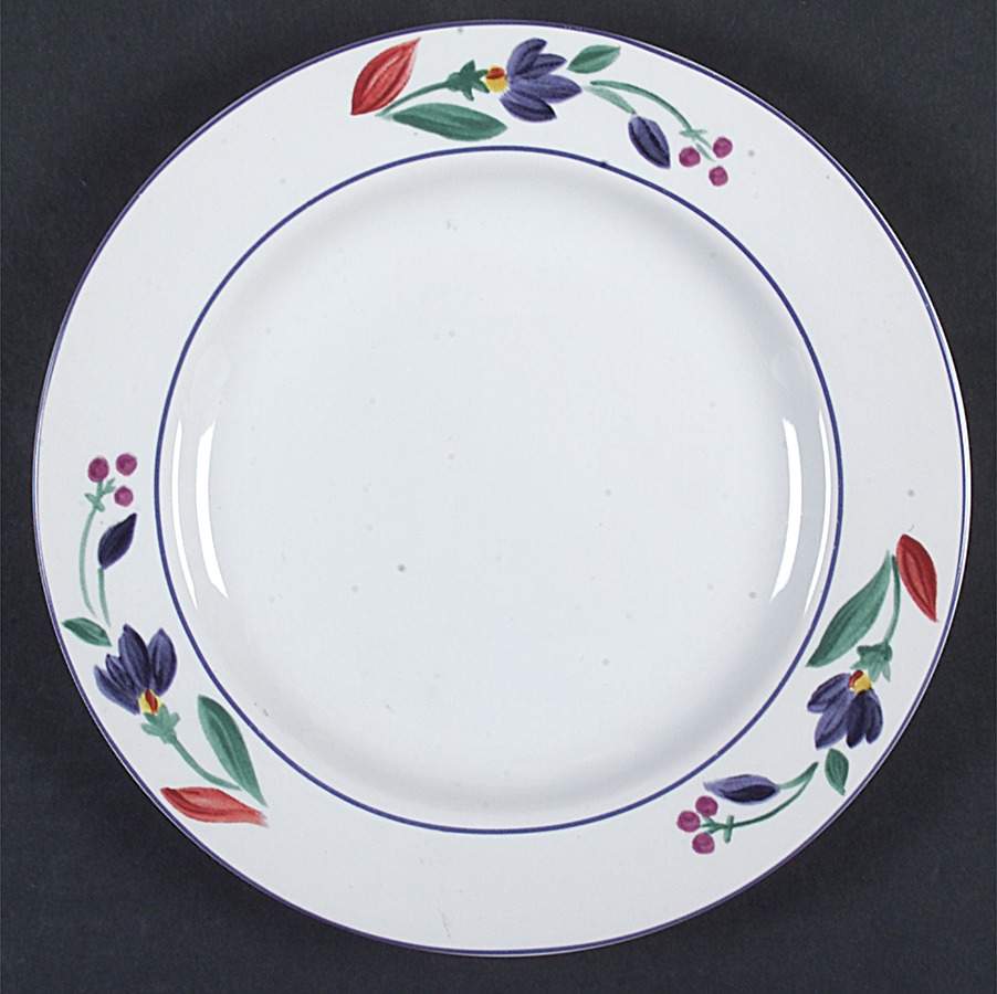 CPU2 Salad Plate by Cost Plus-1