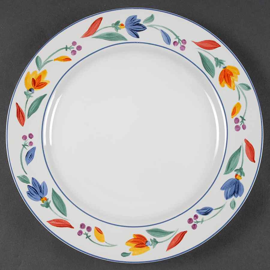 CPU2 Dinner Plate by Cost Plus-1
