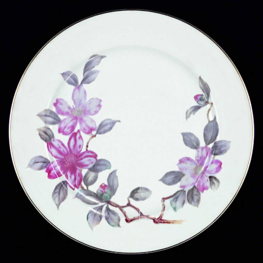 CRF10 Dinner Plate by Craftsman (Japan)-1