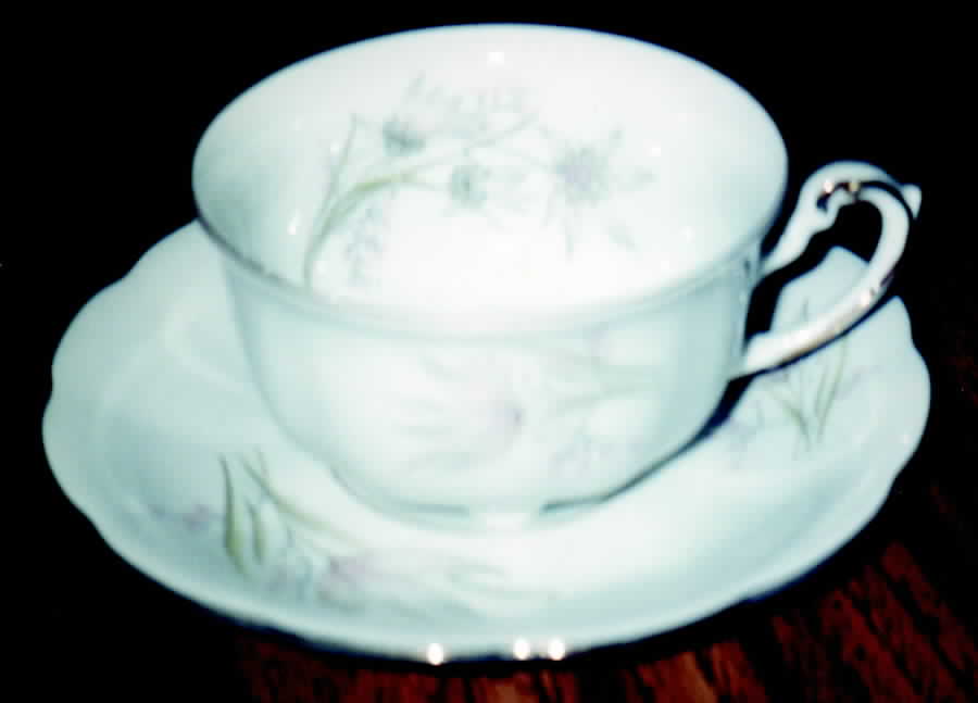 CWH7 Footed Cup & Saucer Set by Crown Heiden-1