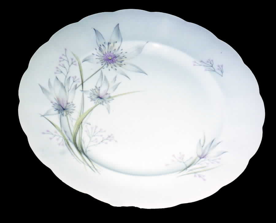 CWH7 Dinner Plate by Crown Heiden-1