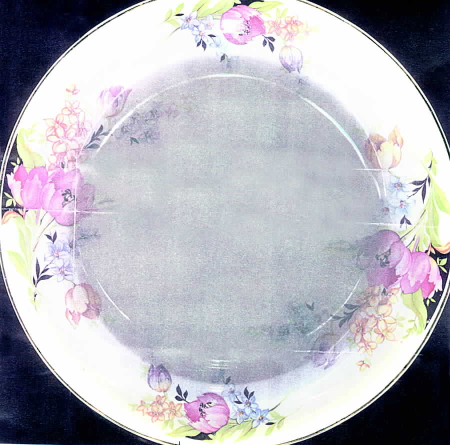 1244 Dinner Plate by Crown Potteries-1