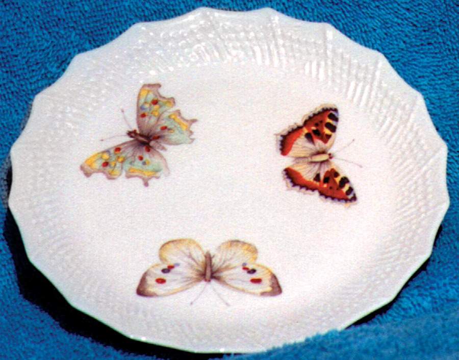 CNR10 Dinner Plate by Chastagner & Cie-1