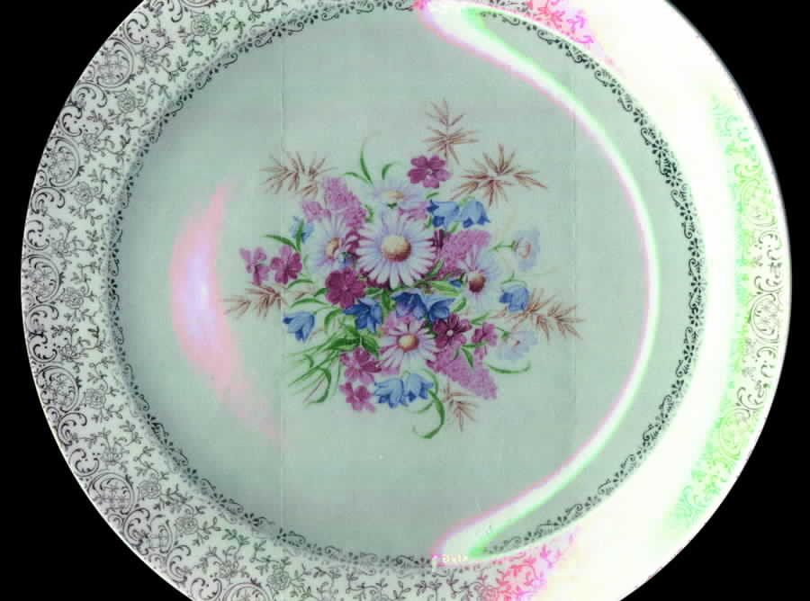 COI54 Dinner Plate by Cronin-1