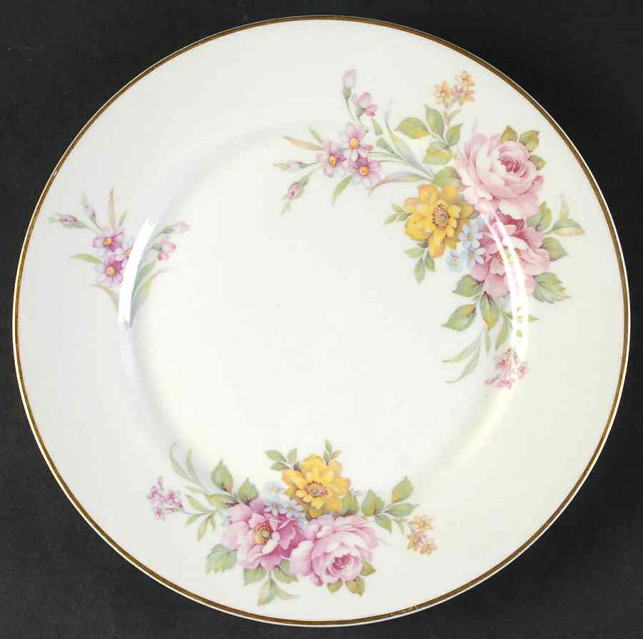 CPT6 Dinner Plate by Capital (USA)-1