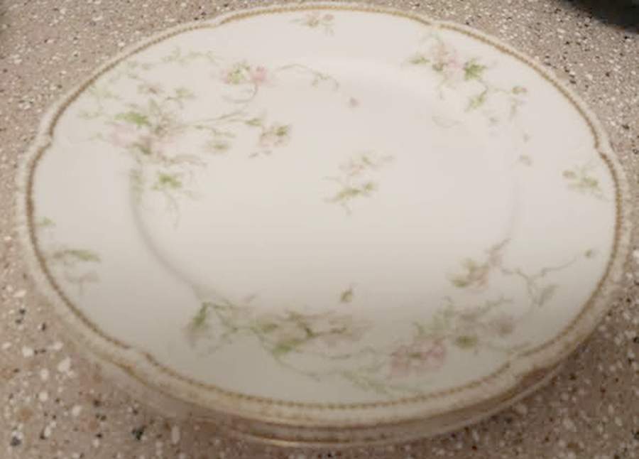 Schleiger 377a Luncheon Plate by Charles Field Haviland-1