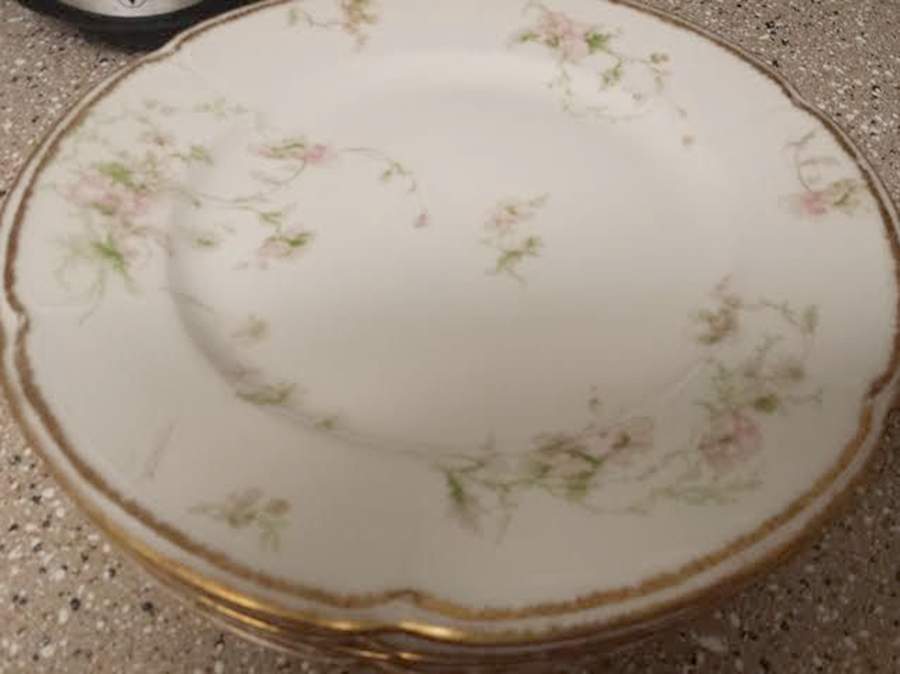 Schleiger 377a Dinner Plate by Charles Field Haviland-1