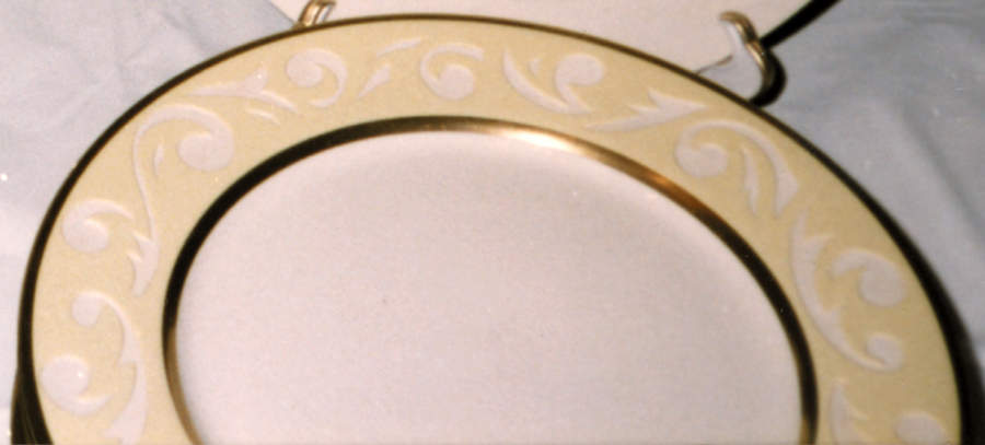 CS26 Dinner Plate by Carole Stupell-1