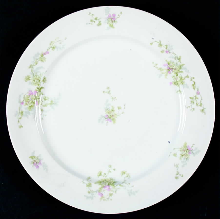 Schleiger 393 Dinner Plate by Charles Field Haviland-1