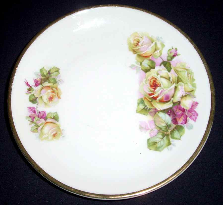 17312 Salad Plate by Carl Tielsch-1