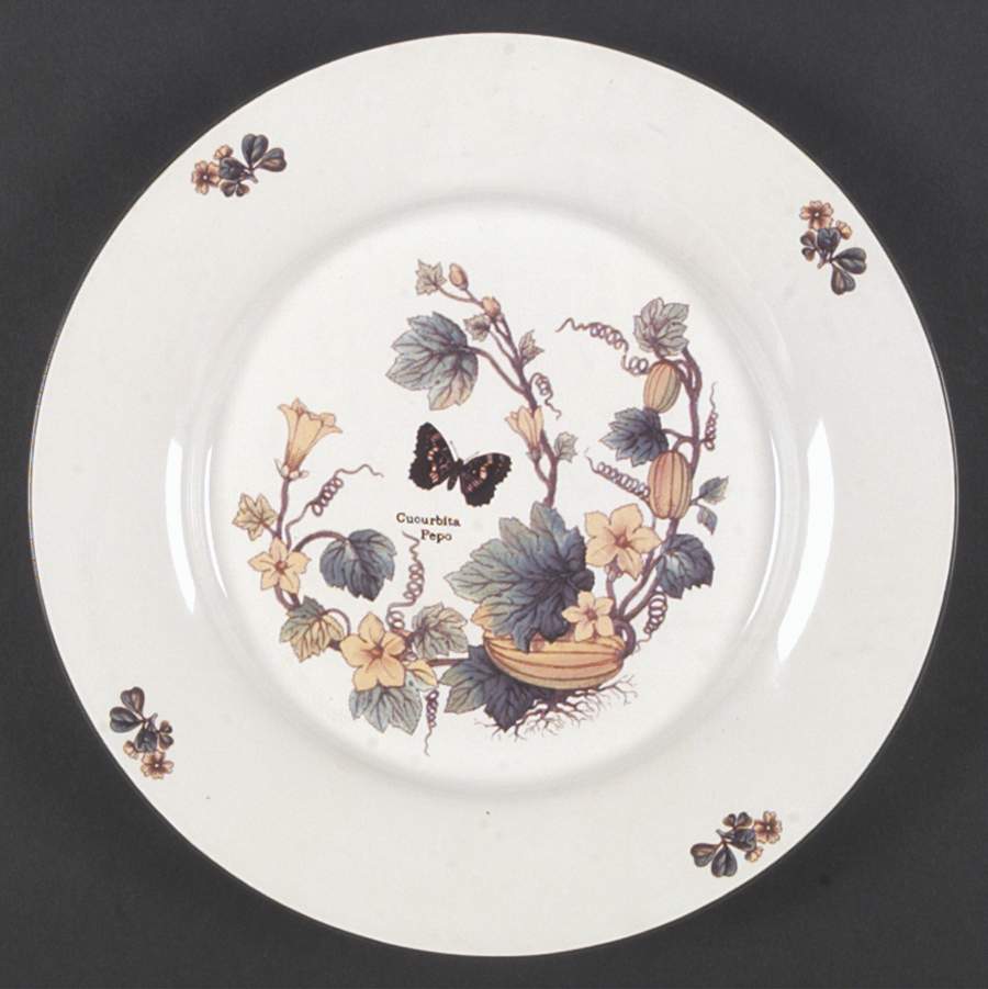 Flora Dinner Plate by Cuthbertson-1