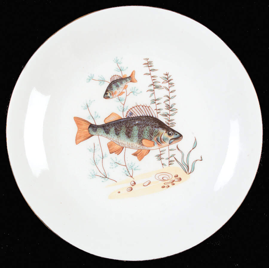 CIL14 Luncheon Plate by Cmielow (Poland)-1