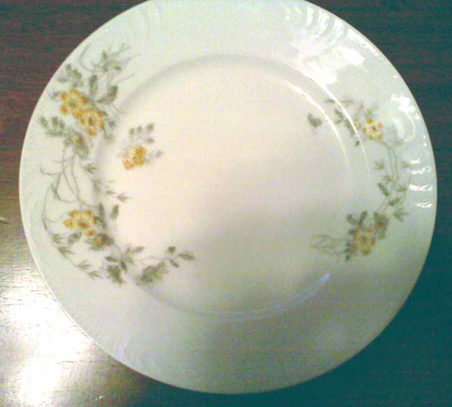 Schleiger 1301c Dinner Plate by Charles Field Haviland-1