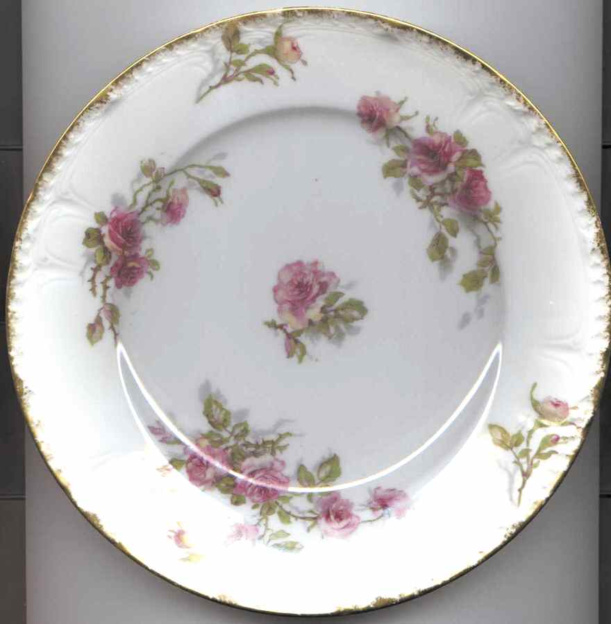 Schleiger 1313b Salad Plate by Charles Field Haviland-1