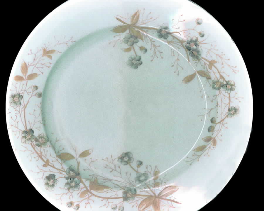 1459 Dinner Plate by Carlsbad-1