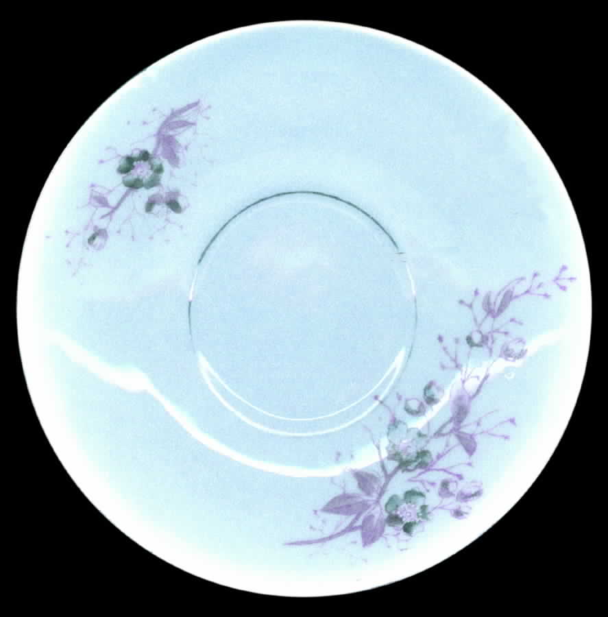 1459 Saucer by Carlsbad-1