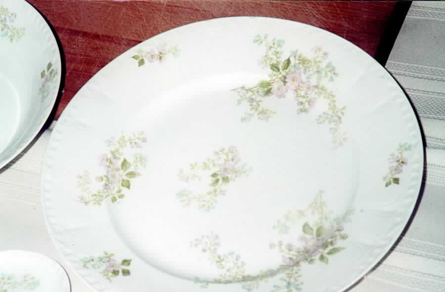 CHF598 Dinner Plate by Charles Field Haviland-1