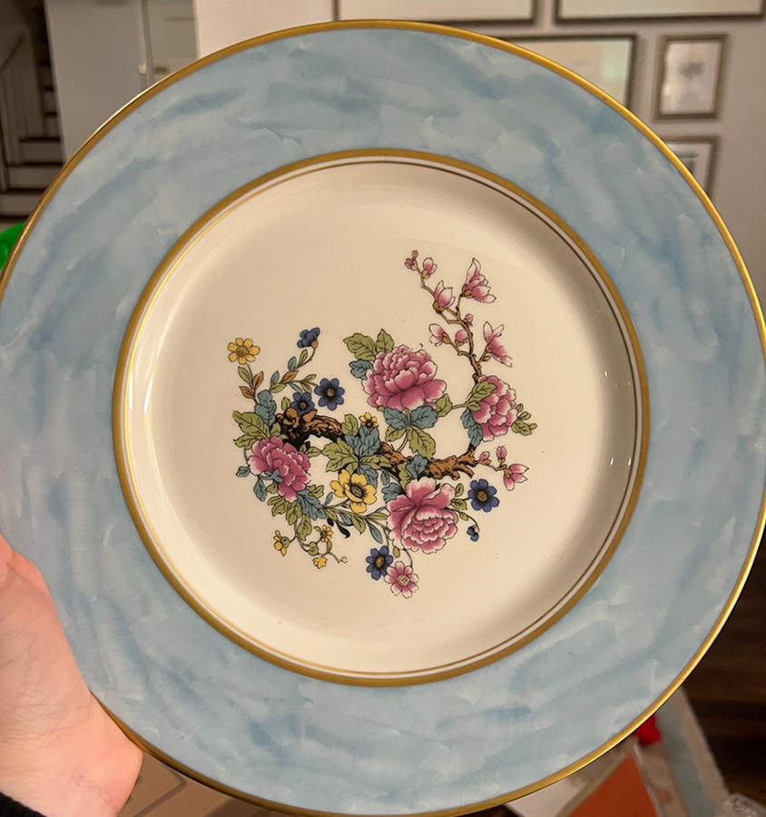 CCD14 Dinner Plate by Concorde-1