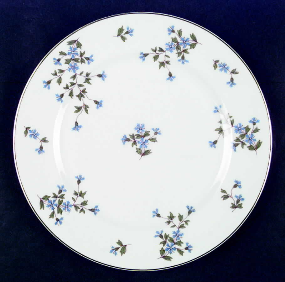 CHF607 Dinner Plate by Charles Field Haviland-1