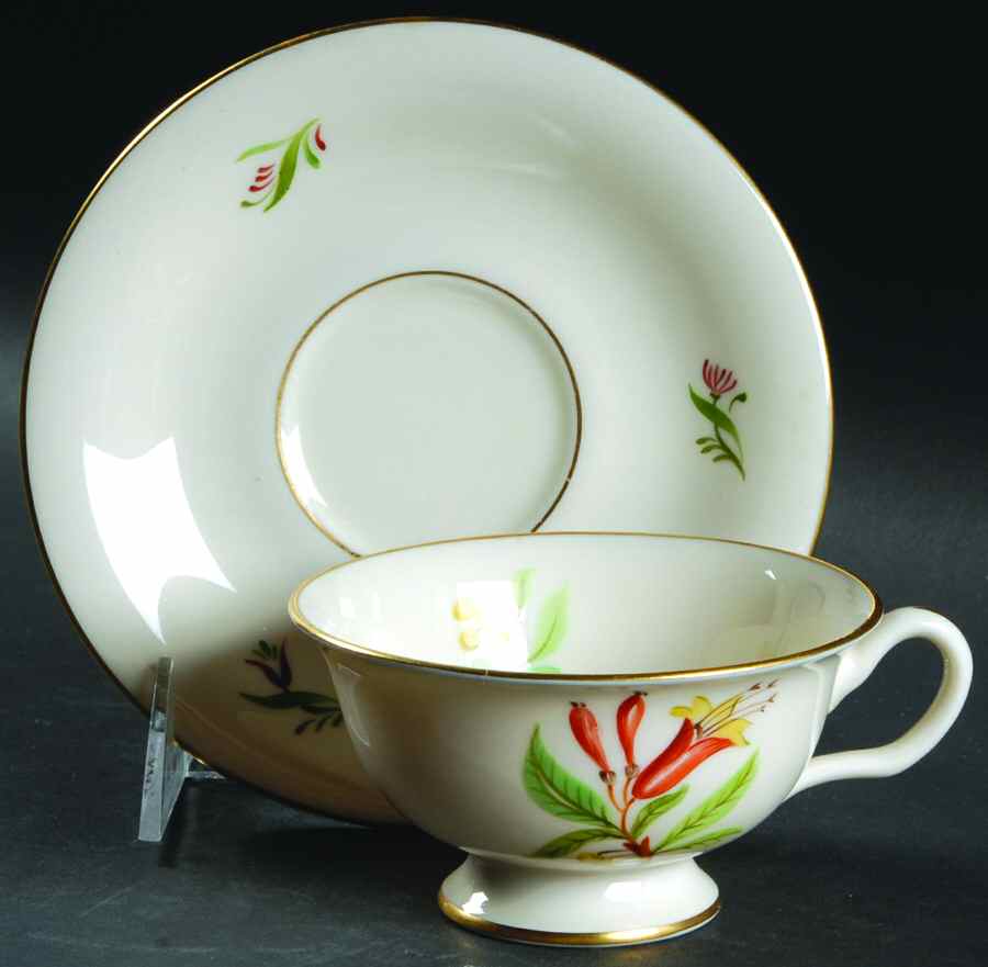 500 Footed Cup & Saucer Set by Castleton (USA)-1